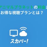 スカパーアニマルプラネットの料金まとめ！お得な視聴プランとは？