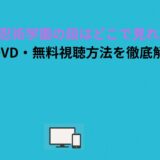 さらば忍術学園の段はどこで見れる？配信・DVD・無料視聴方法を徹底解説！
