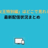 涙の女王特別編どこで見れる？無料＆見逃し配信まとめ