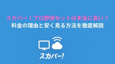 スカパー！プロ野球セットは本当に高い？料金の理由と安く見る方法を徹底解説