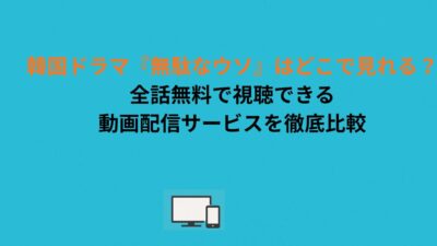 韓国ドラマ『無駄なウソ』はどこで見れる？全話無料で視聴できる動画配信サービスを徹底比較