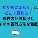 『むやみに切なく』はどこで見れる？現在の配信状況とおすすめの視聴方法を徹底解説