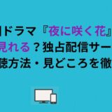 韓国ドラマ『夜に咲く花』はどこで見れる？独占配信サービス・無料視聴方法・見どころを徹底解説
