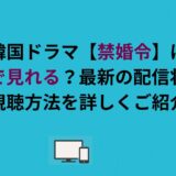 韓国ドラマ【禁婚令】はどこで見れる？最新の配信状況と視聴方法を詳しくご紹介