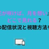 『花が咲けば、月を想い』はどこで見れる？現在の配信状況と視聴方法を解説