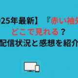 【2026年最新】『赤い袖先』はどこで見れる？配信状況と感想を紹介