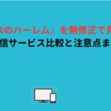 『終末のハーレム』を無修正で見る方法｜配信サービス比較と注意点まとめ