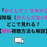 アニメ「かくして！ マキナさん!!」規制解除版（かくしてない版）はどこで見れる？【無料視聴方法も解説】
