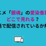 アニメ「銀魂」の愛染香篇はどこで見れる？何話で配信されているか解説