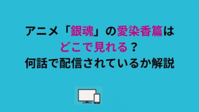 アニメ「銀魂」の愛染香篇はどこで見れる？何話で配信されているか解説