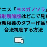 アニメ「ヨスガノソラ」一部規制解除版はどこで見れる？近親相姦のタブー作品を合法視聴する方法