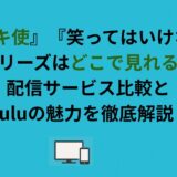 『ガキ使』『笑ってはいけない』シリーズはどこで見れる？配信サービス比較とHuluの魅力を徹底解説！