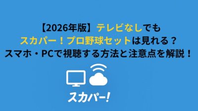 テレビなしでスカパー！プロ野球セットは見れる？スマホ・PCで見る方法を解説！