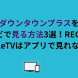 ダウンタウンプラスをテレビで見る方法3選！REGZAやAppleTVはアプリで見れない？