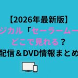 ミュージカル「セーラームーン」はどこで見れる？配信＆DVD情報まとめ