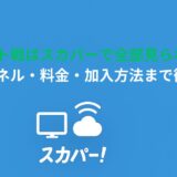 ヤクルト戦はスカパーで全部見られる！放送チャンネル・料金・加入方法まで徹底ガイド