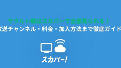 ヤクルト戦はスカパーで全部見られる！放送チャンネル・料金・加入方法まで徹底ガイド
