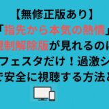 【無修正版あり】「指先から本気の熱情」規制解除版が見れるのはアニメフェスタだけ！過激シーンをフルで安全に視聴する方法とは？