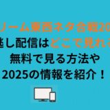 『ドリーム東西ネタ合戦2026』見逃し配信はどこで見れる？無料で見る方法や2025の情報を紹介！