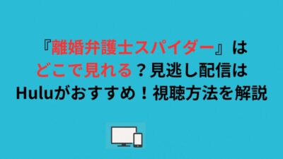 『離婚弁護士スパイダー』はどこで見れる？見逃し配信はHuluがおすすめ！視聴方法を解説