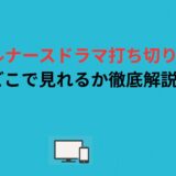 トラベルナースドラマ打ち切り理由とどこで見れるか徹底解説