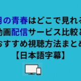 五月の青春はどこで見れる？動画配信サービス比較とおすすめ視聴方法まとめ【日本語字幕】