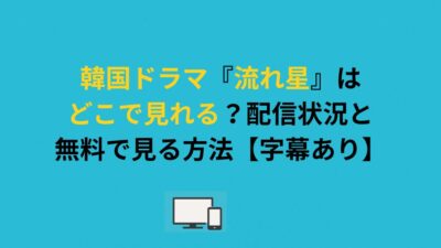 韓国ドラマ『流れ星』はどこで見れる？配信状況と無料で見る方法【字幕あり】