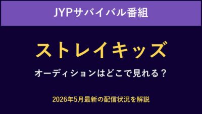 ストレイキッズオーディションはどこで見れる？視聴方法解説