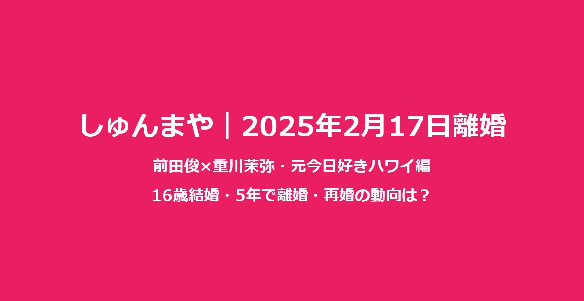しゅんまや離婚サマリー
