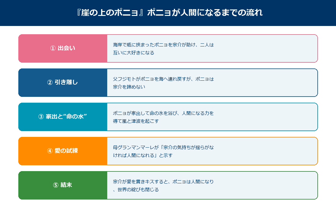 崖の上のポニョでポニョが人間になるまでの流れの図