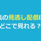 嵐の見逃し配信はどこで見れる？ライブ・ドラマ・バラエティの視聴方法を徹底解説
