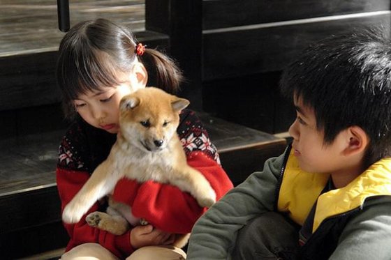 映画マリと子犬の物語の場面写真