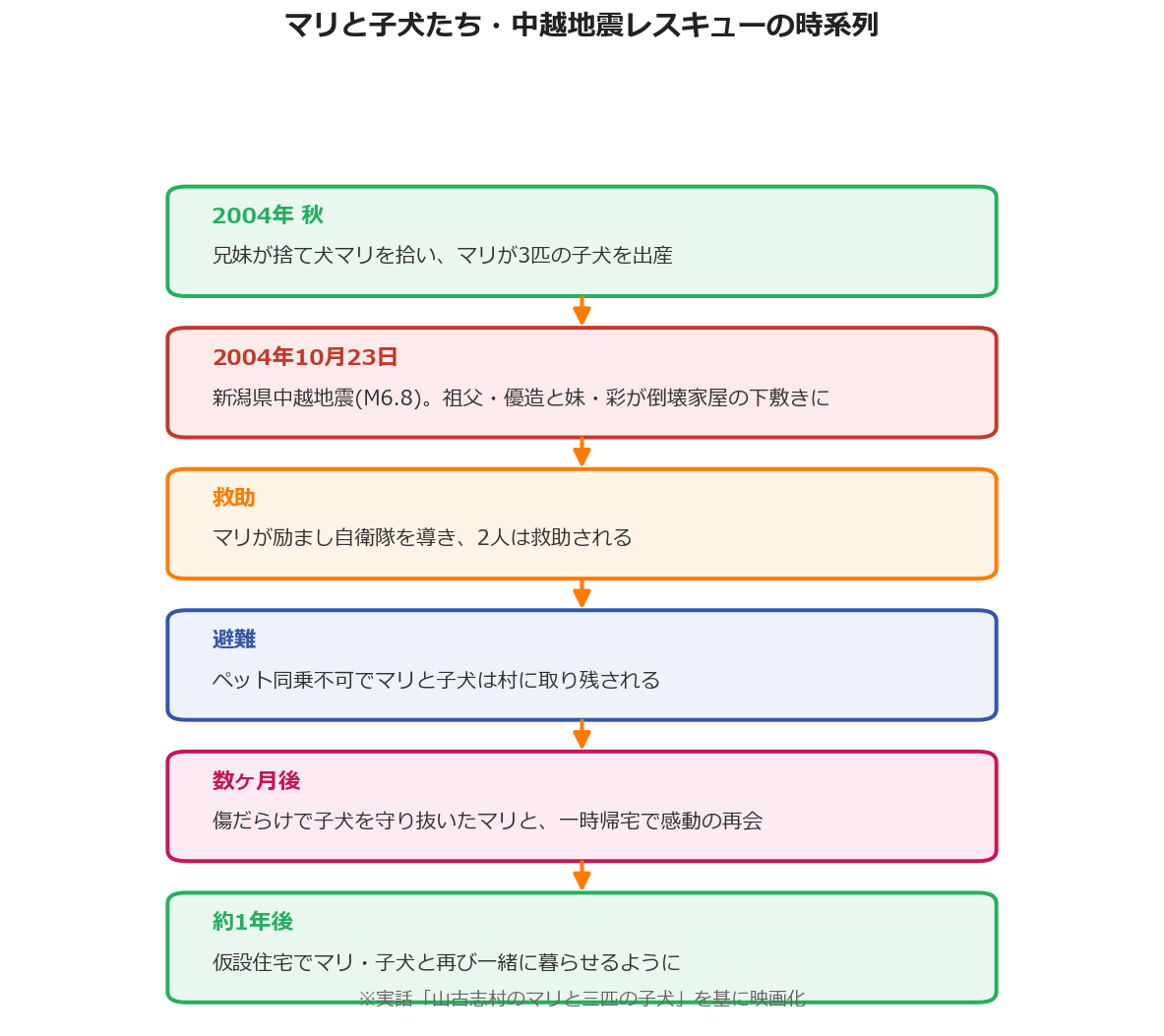 マリと子犬たちの中越地震レスキューの時系列図