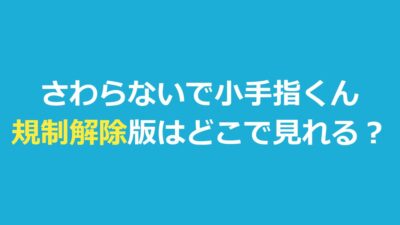 『さわらないで小手指くん』規制解除版はどこで見れる？2種類の違い